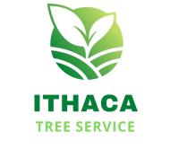 Ithaca Tree Service image 13